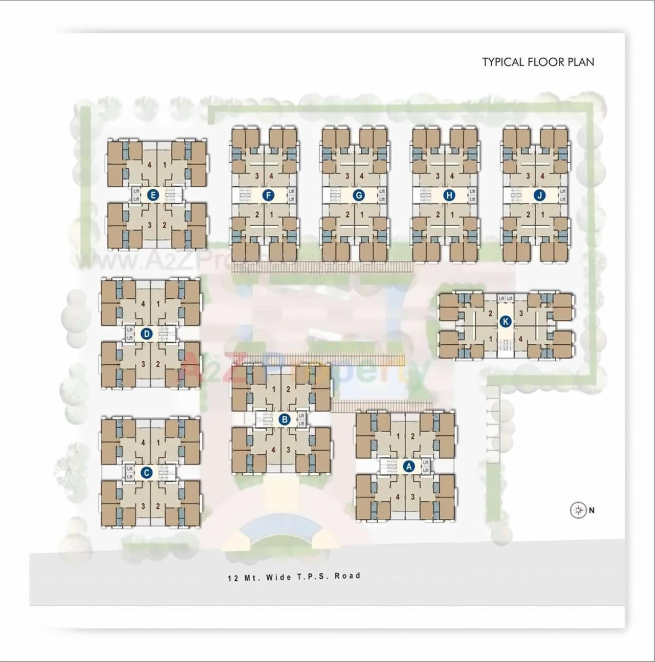 Project Layout