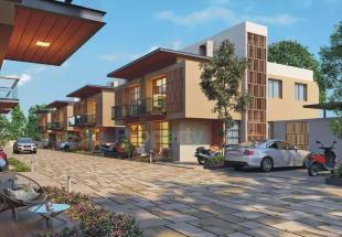 Elevation of real estate project Sanidhya located at Borisana, Gandhinagar, Gujarat