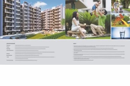 Project Specifications