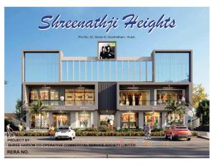 Elevation of real estate project Shreenathji Heights located at Gandhidham, Kutch, Gujarat