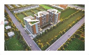 Elevation of real estate project Titan located at Nanamava, Rajkot, Gujarat