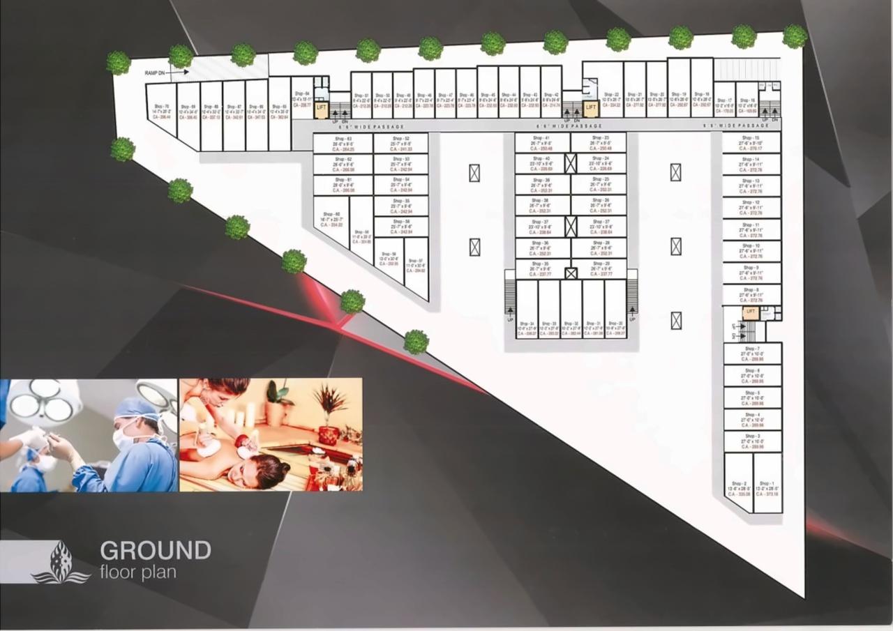 Project Layout