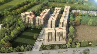 Elevation of real estate project Dove Deck located at Vadodara, Vadodara, Gujarat