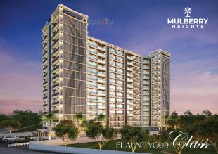 Elevation of real estate project Mulberry Heights located at Gorwa--ankodia, Vadodara, Gujarat