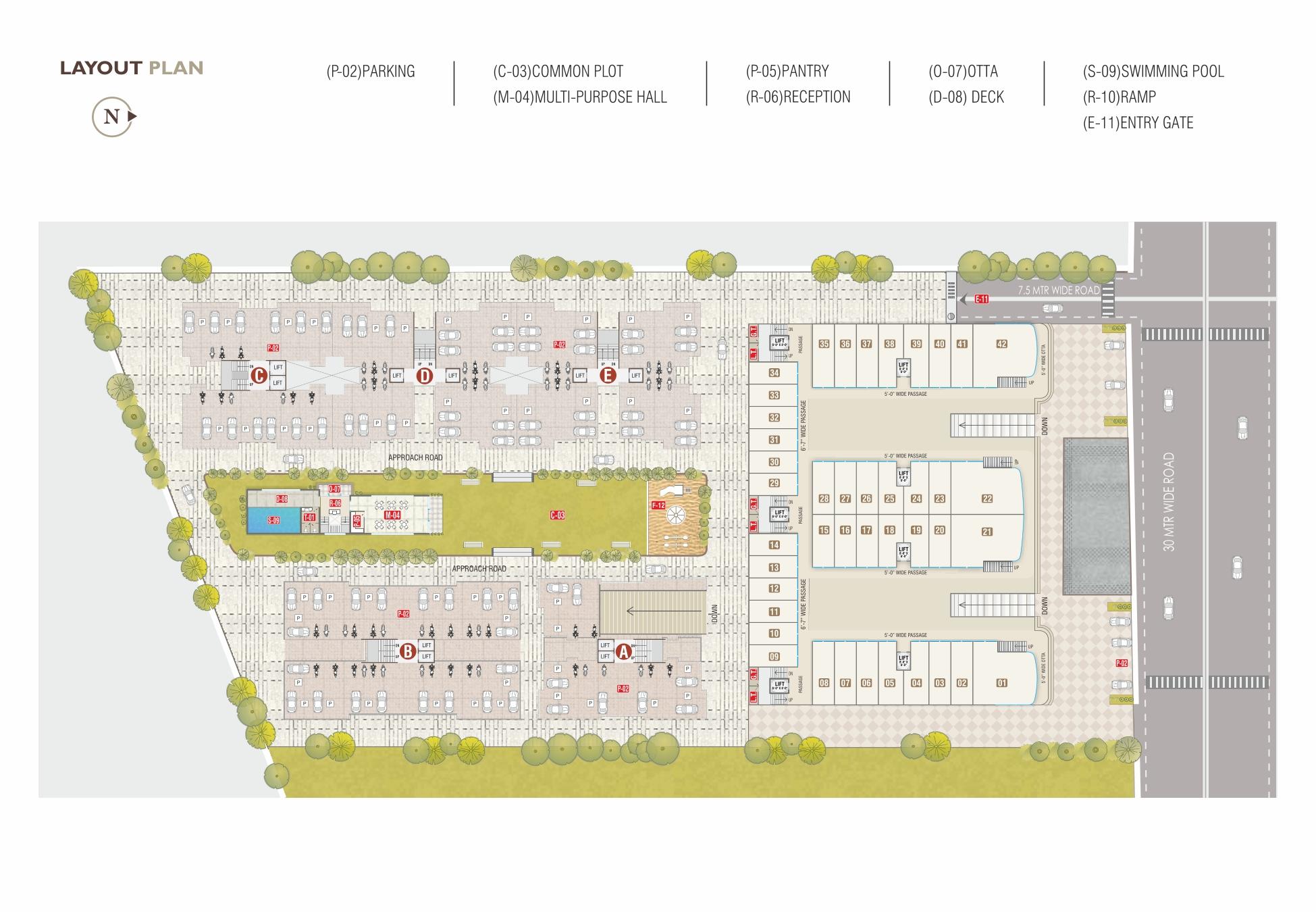 Project Layout