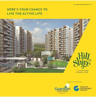 Elevation of real estate project Hill Shire located at Wagholi, Pune, Maharashtra