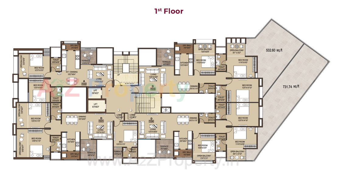Project Layout